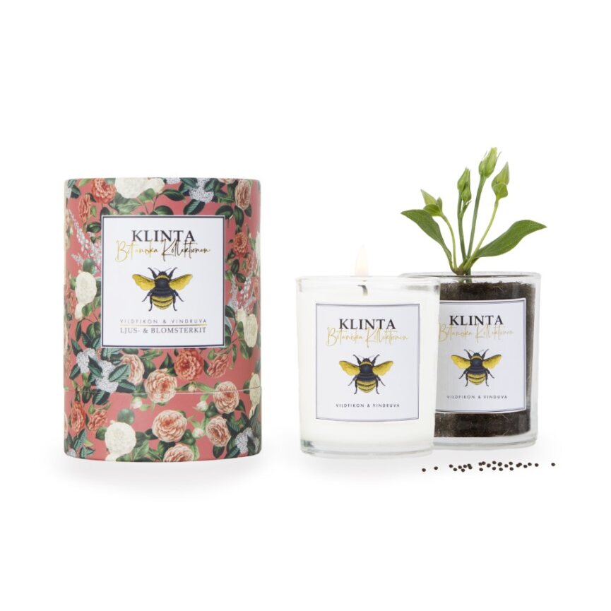 Klintas Botaniska ljus Vildfikon & Vindruva