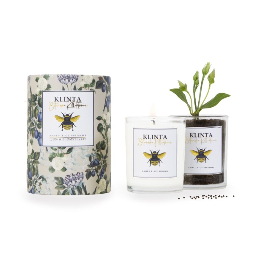 Klintas Botaniska ljus Bambu & Olivblomma