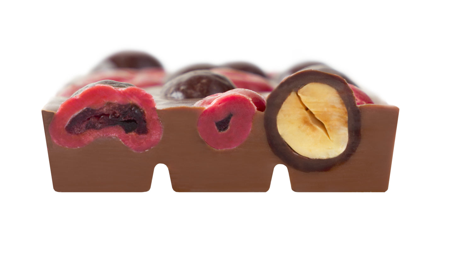 Nötchoklad från Zotter; Tranbär + Hasselnötter 70g (Vegansk)