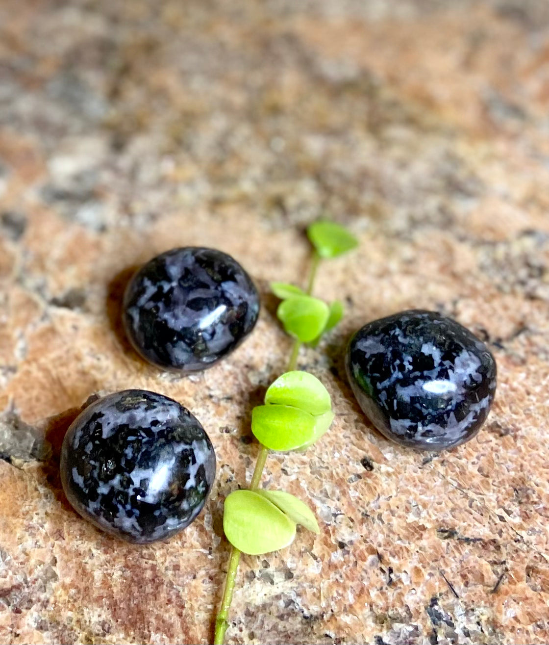 Gabbro, Cuddle Stone