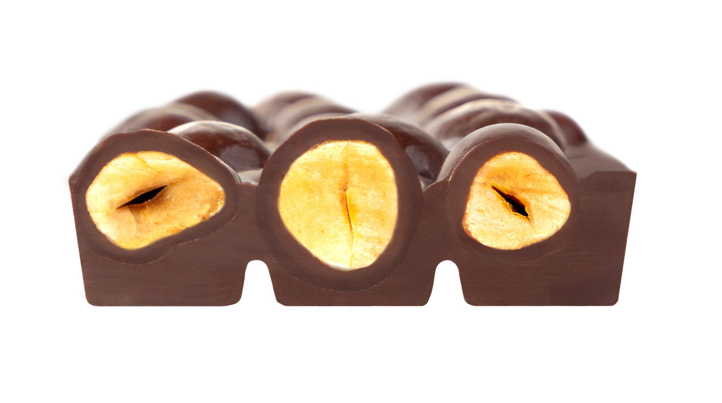 Nötchoklad från Zotter; Mörk choklad + Hasselnötter 70g (Vegansk)