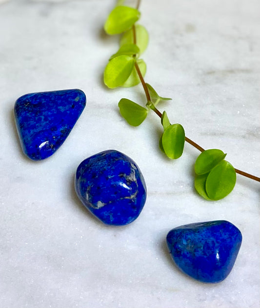 Lapis Lazuli, Trumlade