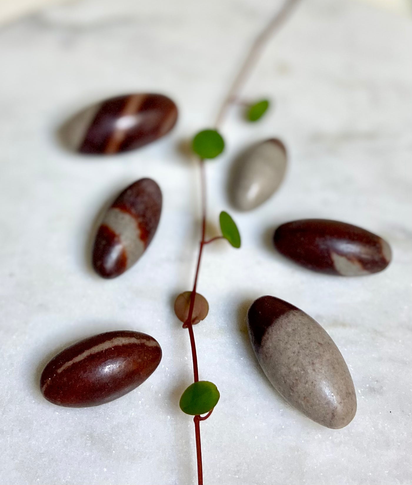 Shiva lingam, Trumlade