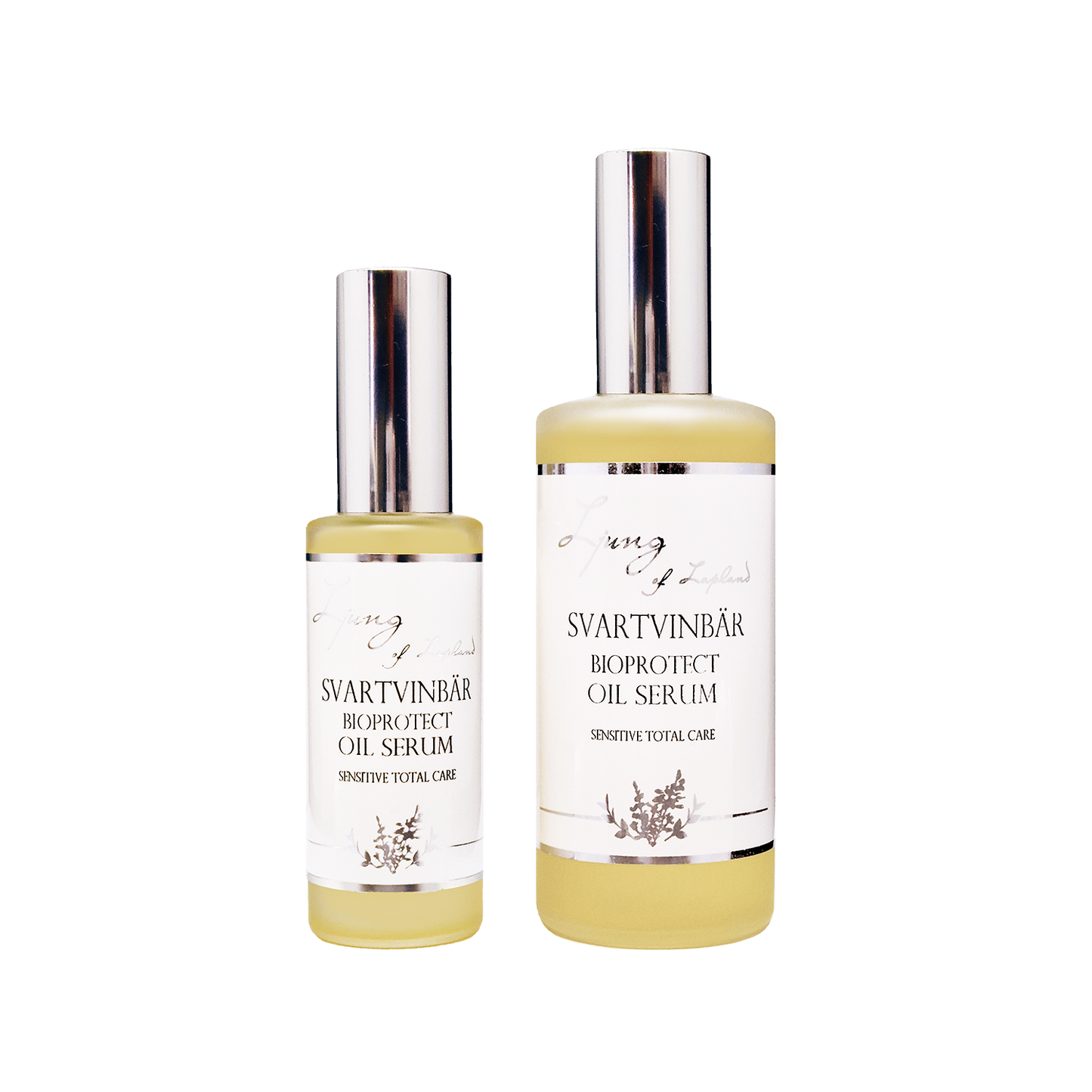 Svartvinbär Oil serum